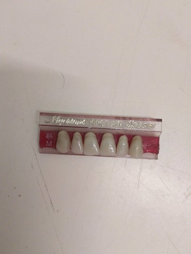 Odontotecnico stecca denti - odontotecnico,
