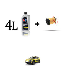 Kit filtro olio e 4L per