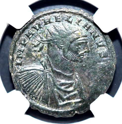 Aureliano 270 275 - aureliano,, bi