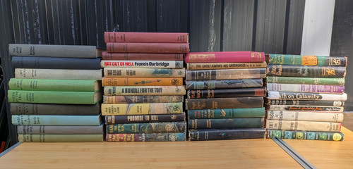 Job lot thriller book - job, lot: