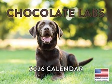 Chocolate Lab Calendar 2026