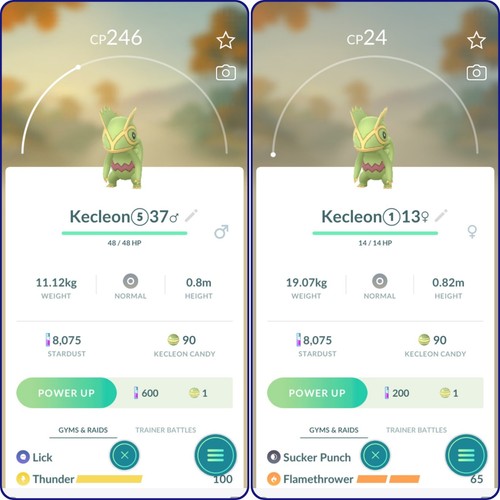 Kecleon non lucido - , |