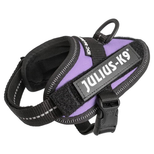 Julius idc pettorina - julius-k9,