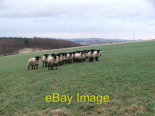 Photo 6x4 chorus - a, of