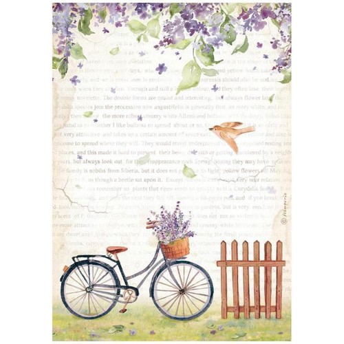 Carta riso create - di,
