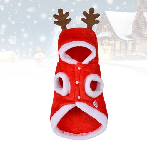Bellissimo costume animale - costume, da