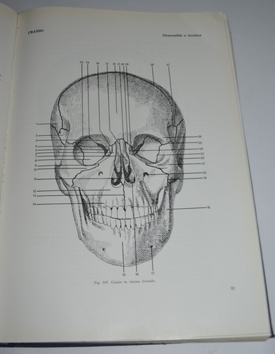 Tecnica radiologica fig - tecnica,