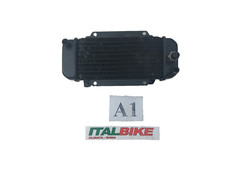Radiatore acqua Honda CH 125 Spacy anno 1994 2001