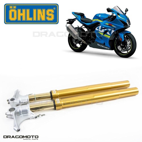 Suzuki gsx 1000r 2017 - suzuki,