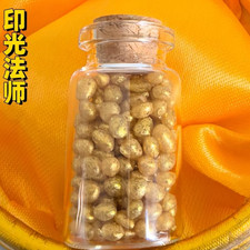 Shakyamuni Reliquie Oro