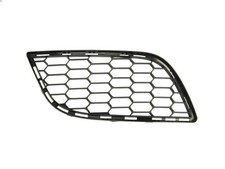 Bumper grille BLIC