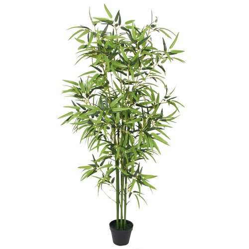Pianta finta bambù - pianta,