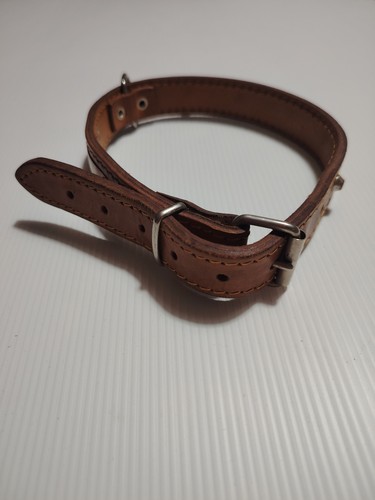 Collare per cani robusto - collare,