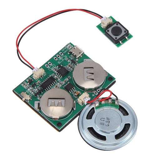Modulo audio registrabile - modulo,