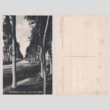 Vintage postcard piedimonte - vintage,