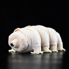 Orso acquatico tardigrado