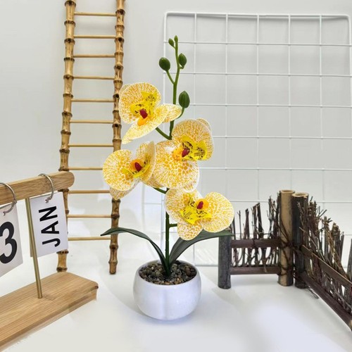 Unico vaso fiori - di,