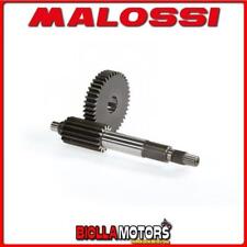 6711486 INGRANAGGI RAPPORTI