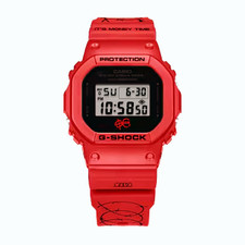 Casio  DW-5600SFE25-4  SFERA