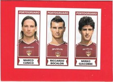CALCIATORI 2010-11 Panini 2011