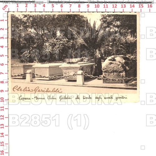 B2851 autografo clelia - autografo,