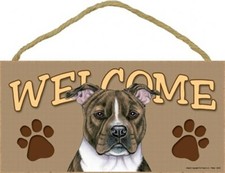 Pitbull brindle welcome carino - pitbull,