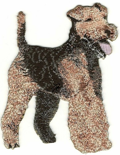 Patch ricamo razza - , welsh
