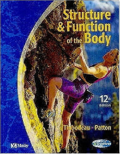 Structure function of the - &,