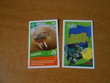 FIGURINA CARD SPONGEBOB CRAI - SERIE GROSSI BAGNANTI - N. 69 - CS.35