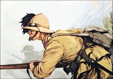 Cartolina post card - card, rino