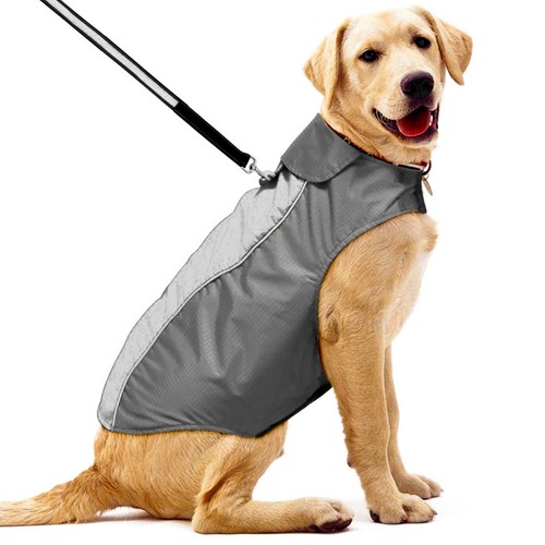 Giubbotto cane vestito - giubbotto,