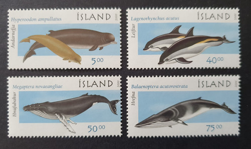 2000 islanda isola - islanda,
