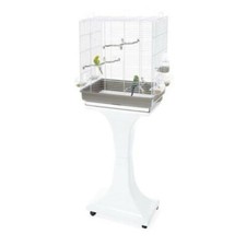 Gabbia camilla bianca per - gabbia,