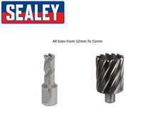 Sealey Worksafe HSS Metal Mag