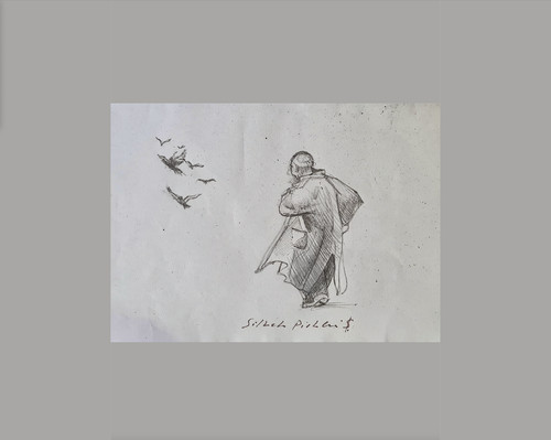 Silvestro pistolesi studio a - silvestro,