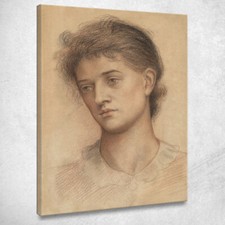 Testa ritratto donna - donna, evelyn