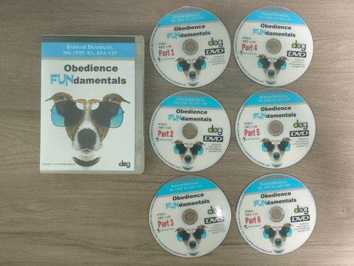 Brand new obedience - new,