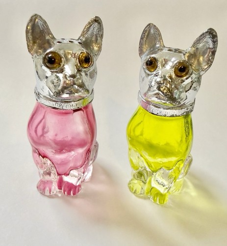Vintage boston terrier bulldog - terrier,