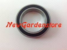 Cuscinetto tagliasiepi