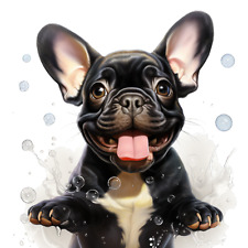 Bulldog francese cane auto