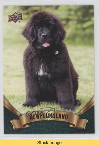 Upper deck collezione - upper,
