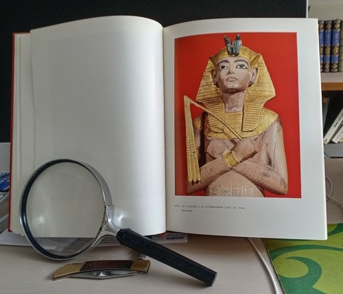 Libro i tesori - libro,