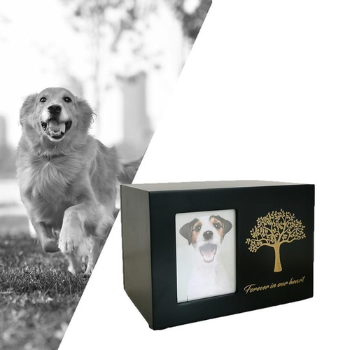 Urna crematoria per - , cani