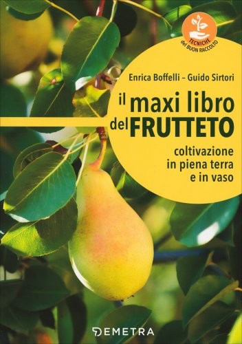 Libro maxi del - maxi,