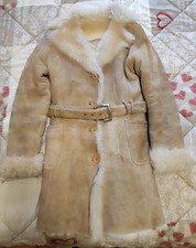 Bellissimo Montone In Vera