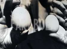 Foto Vintage Francia Uovo di