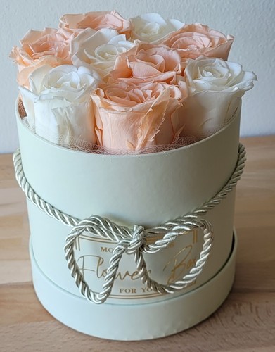 Rose stabilizzate - rose,