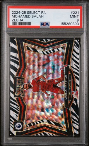 2024 panini select - 2024-25,