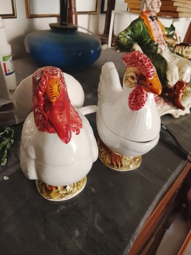 Coppia gallo gallina - gallo, in