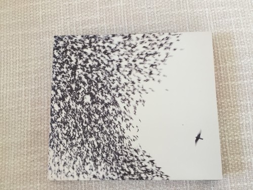 Wilco sky blue - wilco,